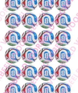 Eetbare Cupcakeprint WK voetbal - 24 cupcake rondjes
