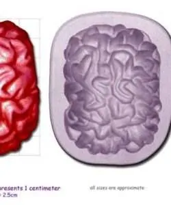 ArtyCo Mould - Brain Large
