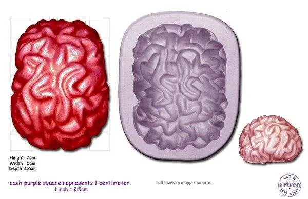 Artyco mould - brain large bij cake, bake & love 4 Artyco mould - brain large