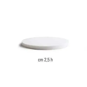 Dummy rond 25 cm - 2,5 cm hoog bij cake, bake & love 3 Dummy disk  25 xh