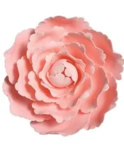 Gumpaste Peony roze 10 cm