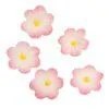 Culpitt suikerdecoratie daisy pink pk/12