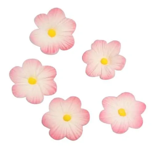 Culpitt suikerdecoratie daisy pink pk/12 bij cake, bake & love 3 Culpitt suikerdecoratie daisy pink pk/12