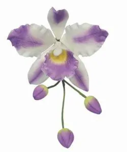 PME Cattleya Orchid flower/Petal cutter set/3 (2)