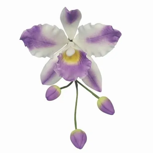Pme cattleya orchid flower/petal cutter set/3 bij cake, bake & love 4 Pme cattleya orchid flower/petal cutter set/3 (2)