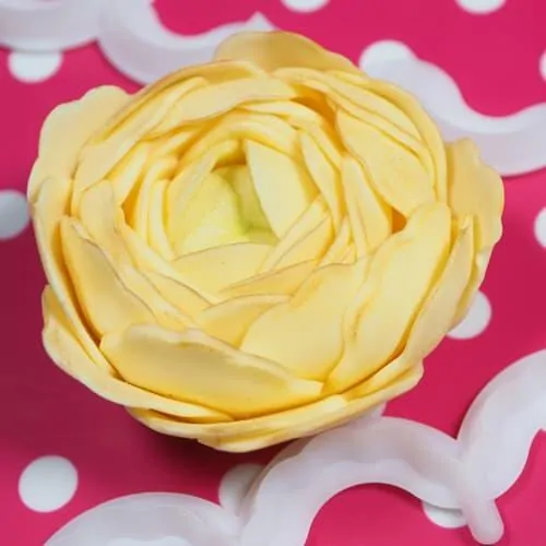 Fmm cutter the easiest ranunculus ever bij cake, bake & love 5 Fmm cutter the easiest ranunculus ever (3)