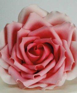 FMM Large Rose Petal Cutter Set/3 (2)