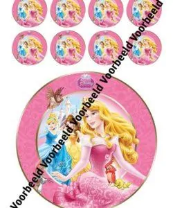Disney prinsessen 18 cm rond + 8 cupcakes