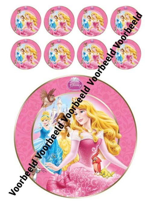 Disney prinsessen 18 cm rond + 8 cupcakes