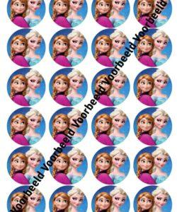 Frozen Elsa & Anna 1 24 cupcakes