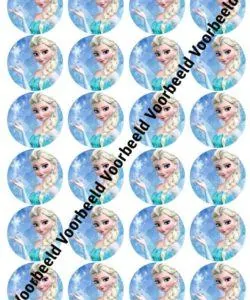 Frozen Elsa 1 24 cupcakes