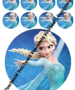 Frozen Elsa 2 18 cm rond + 8 cupcakes