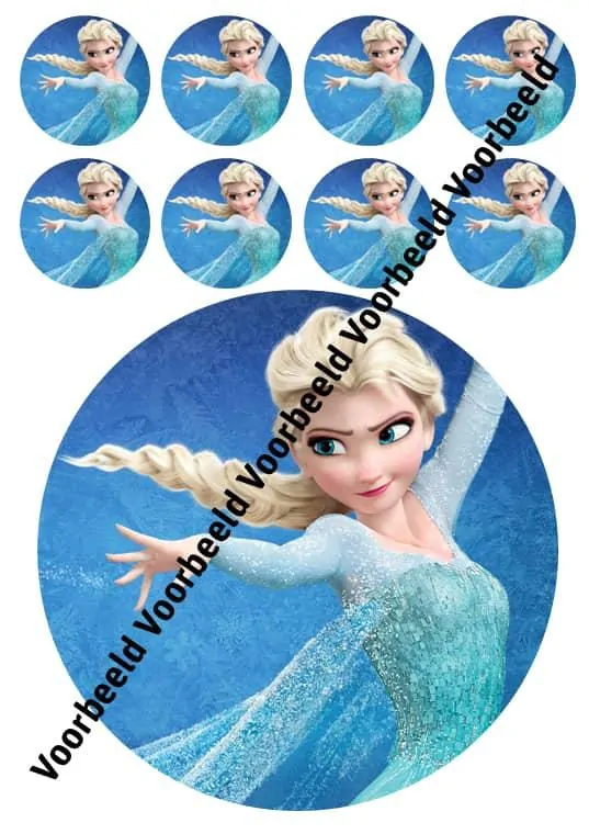 Eetbare taartprint frozen elsa 2 - 18 cm rond rond + 8 cupcake rondjes bij cake, bake & love 3 Frozen elsa 2 18 cm rond + 8 cupcakes