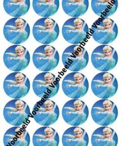 Frozen Elsa 2 24 cupcakes