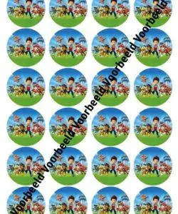 PawPatrol 1 24 cupcakes