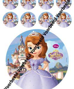 Princess Sofia 18 cm rond + 8 cupcakes