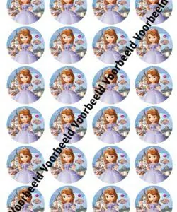 Princess Sofia 24 cupcakes
