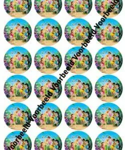 Tinkerbell 24 cupcakes