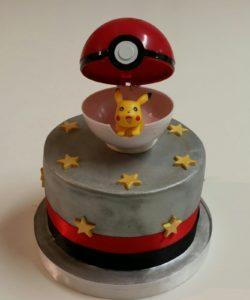 Pokemon bal + pikachu (2)