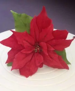 FMM Poinsettia Cutter set/7 (2)