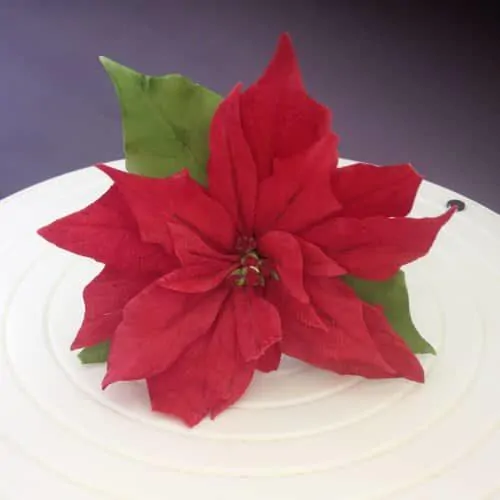Fmm poinsettia cutter set/7 (2)
