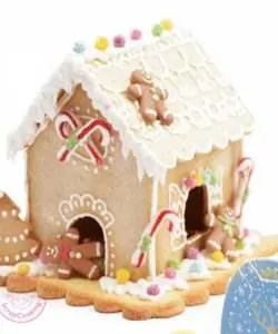 Kit gingerbread house (2)