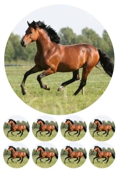 Eetbare taartprint paard - 18 cm rond + 8 cupcake rondjes