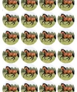 Eetbare Cupcakeprint Paard - 24 cupcake rondjes