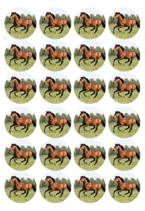 Eetbare cupcakeprint paard - 24 cupcake rondjes