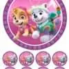 Eetbare taartprint paw patrol skye 1 - 18 cm rond + 8 cupcake rondjes bij cake, bake & love 1