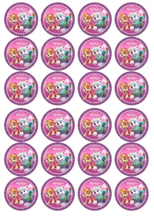 Eetbare cupcakeprint paw patrol skye 1 - 24 cupcake rondjes