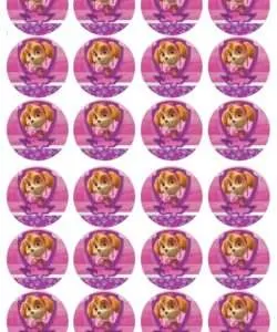 Eetbare Cupcakeprint Paw Patrol Skye 3 - 24 cupcake rondjes