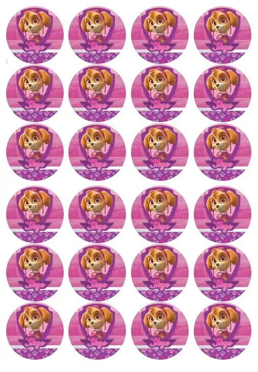 Eetbare cupcakeprint paw patrol skye 3 - 24 cupcake rondjes bij cake, bake & love 5 Eetbare cupcakeprint paw patrol skye 3 - 24 cupcake rondjes