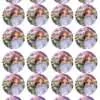 Eetbare cupcakeprint prinses sofia 1 - 24 cupcake rondjes bij cake, bake & love 3