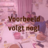 Workshop bento taart & cupcakes kerst - woensdag 18 december 19:00 bij cake, bake & love 3