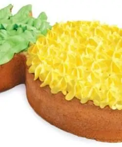 Bakrand xxl - ananas bij cake, bake & love 11