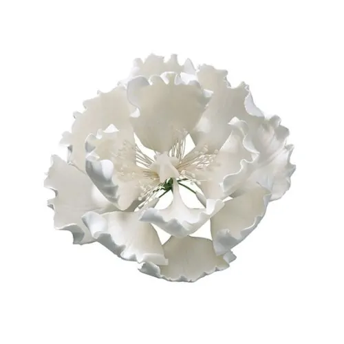 Gumpaste peony wit - 10 cm