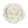 Sugarsoft® rose wit 50mm 10 stuks