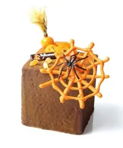 Halloween spinnen 12 stuks (2)