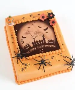Halloween spinnen 12 stuks (3)