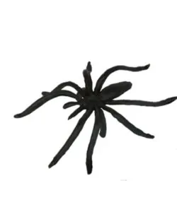 Halloween spinnen 12 stuks