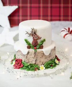 Karen davies mould - rustic birch by alice bij cake, bake & love 9 Karen davies siliconen mould rustic birch by alice (3)