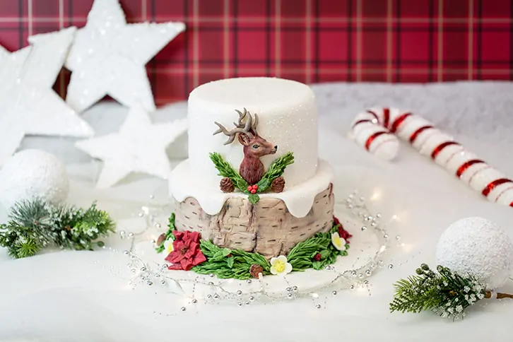 Karen davies mould - rustic birch by alice bij cake, bake & love 6 Karen davies siliconen mould rustic birch by alice (3)