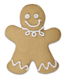 Gingerbread Man uitsteker groot 19 cm (2)