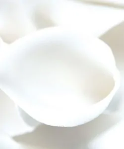 Uitsteker set lelie 5 stuks bij cake, bake & love 9 Uitsteker set lelie 5 stuks (3)