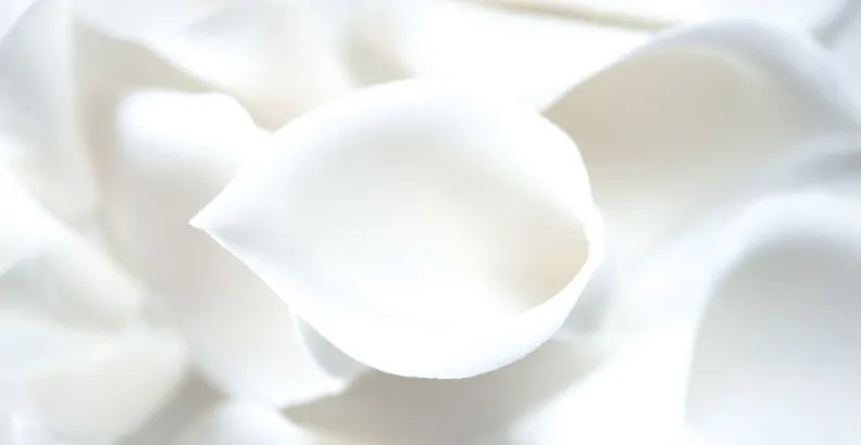 Uitsteker set lelie 5 stuks bij cake, bake & love 6 Uitsteker set lelie 5 stuks (3)