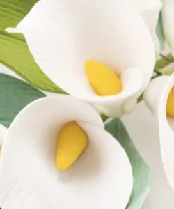 Uitsteker set lelie 5 stuks bij cake, bake & love 10 Uitsteker set lelie 5 stuks (4)