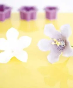 Uitsteker set petunia set van 5 bij cake, bake & love 9 Uitsteker set petunia set van 5 (3)