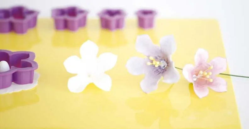 Uitsteker set petunia set van 5 bij cake, bake & love 6 Uitsteker set petunia set van 5 (3)