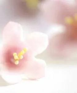 Uitsteker set petunia set van 5 bij cake, bake & love 10 Uitsteker set petunia set van 5 (4)